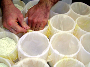 Queso de Saravillo